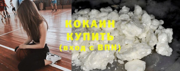 ешки Белокуриха