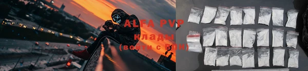 ешки Белокуриха